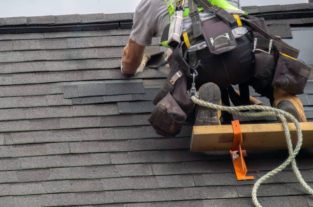 Best Shingle Roofing Installation  in Newellton, LA