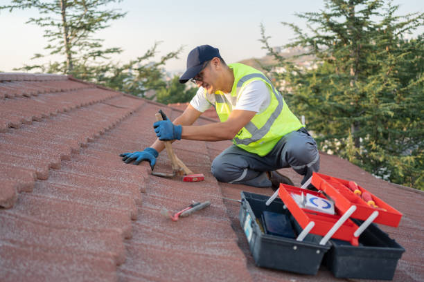 Best Roof Gutter Cleaning  in Newellton, LA